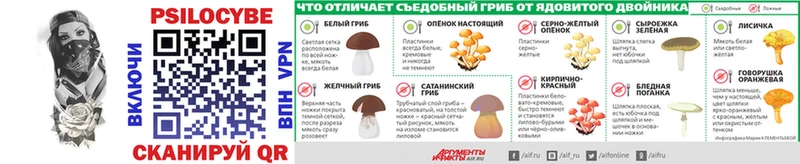 Галлюциногенные грибы прущие грибы  mega ССЫЛКА  Заринск 